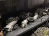 VOLKSWAGEN-AUDİ-SKODA-SEAT ORJİNAL ÇIKMA TURBO'ları