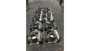 POLO HB BOĞAZ KELEBEKLERİ POLO HB BOĞAZ KELEBEKLERİ