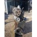 SKODA OCTAVİA 1.6 BENZİN PİK BLOK AKL KODLU MOTOR